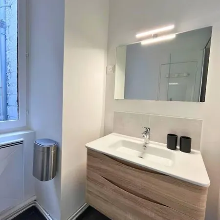 Grand Studio Renove Au Vieux-tours Apartment Tours