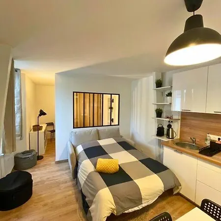 Grand Studio Renove Au Vieux-tours *